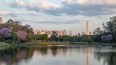Salão Abrasel 2026: atrações, credenciamento e acesso